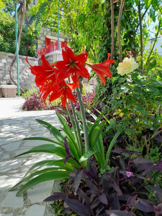 Stone House In Buljarica Petrovac Exterior foto